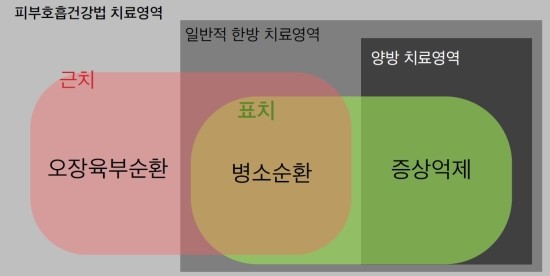 피부호흡건강법_치료영역